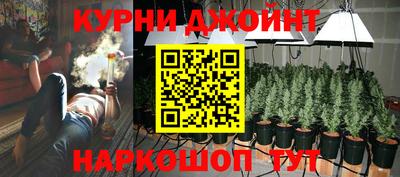 молекула духа Бийск