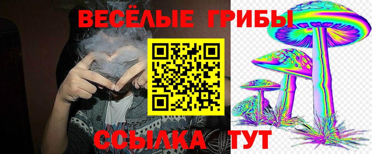 Карпинск  Псилоцибиновые грибы ЛСД  магазин продажи   Вход с VPN 
