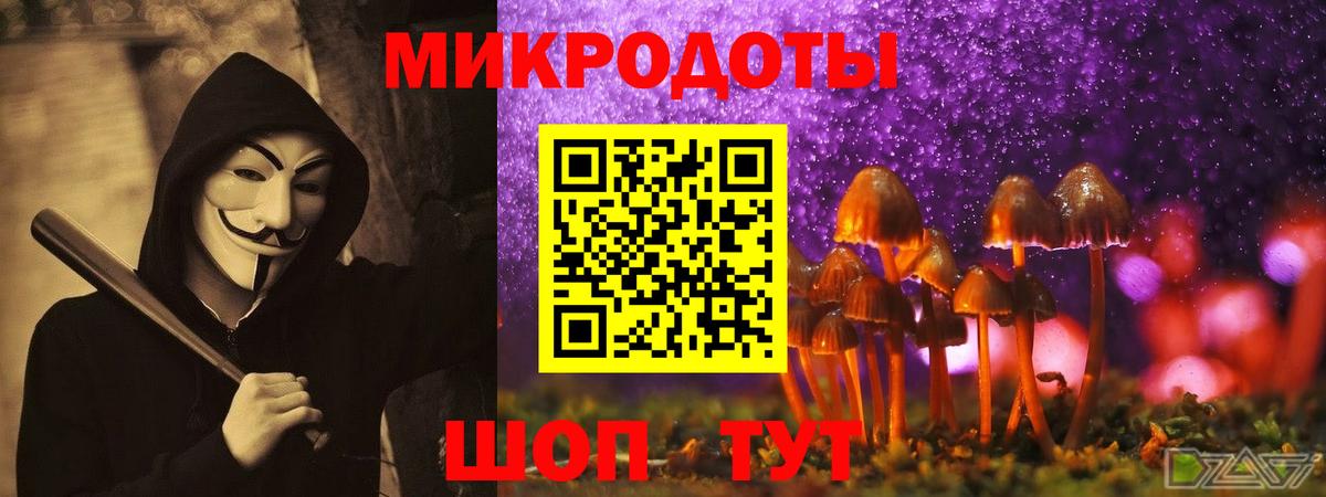 Псилоцибиновые грибы мицелий Карпинск